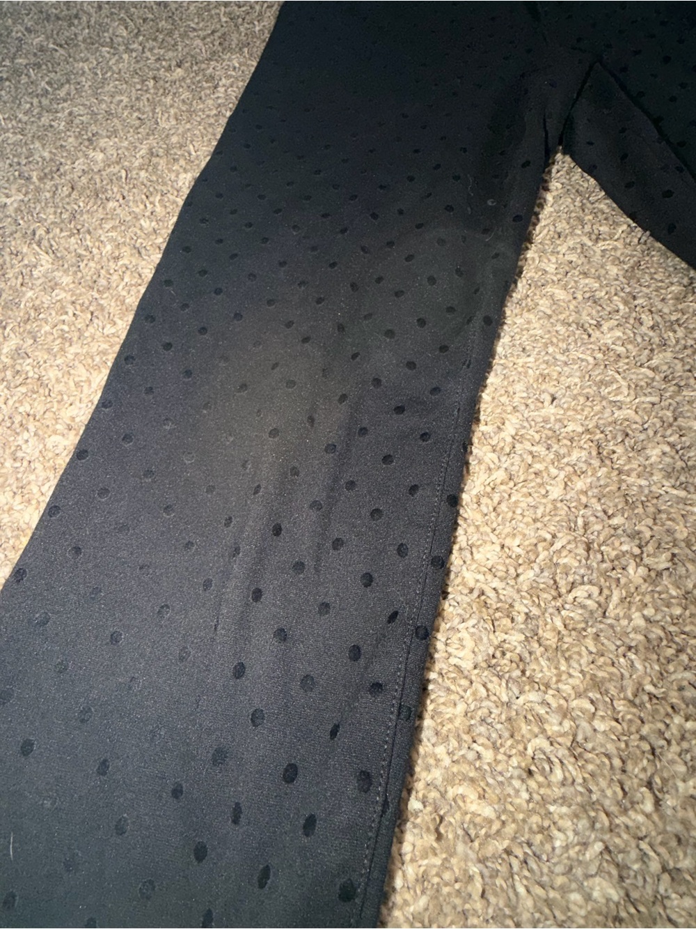 Talbots Black Skinny Pants with Textured Dot Detail - Picture 2 of 8